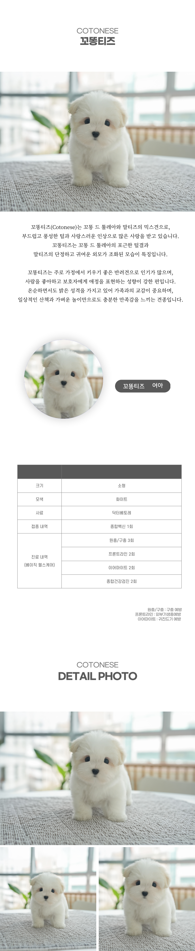 꼬똥티즈_상세이미지_2